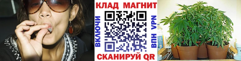 Названия наркотиков Юрьев-Польский Альфа ПВП  ГАШИШ  АМФ  КОКАИН 