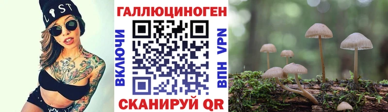 наркошоп  Юрьев-Польский  Галлюциногенные грибы Psilocybine cubensis 