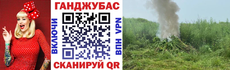 кракен как зайти  где купить наркотик  Юрьев-Польский  Конопля планчик 